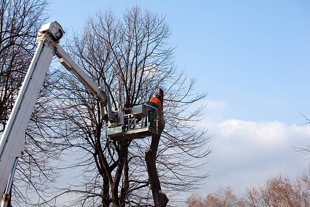 Soil Testing and Treatment in Mount Airy, NC